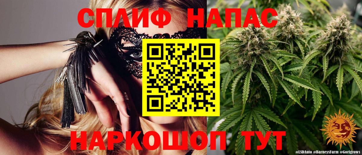 Каннабис сатива  Канабис Bruce Banner  Бошки марихуана VHQ  Бошки Шишки SATIVA & INDICA  Семёнов  Вход с VPN 